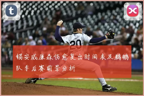 锡安威廉森伤愈复出时间表及鹈鹕队季后赛前景分析