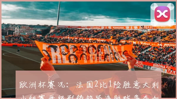 欧洲杯赛况：法国2比1险胜意大利小组赛晋级形势趋紧净胜球争夺加剧